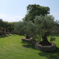 Photo de France - Le Jardin de Saint-Adrien : une oasis de verdure